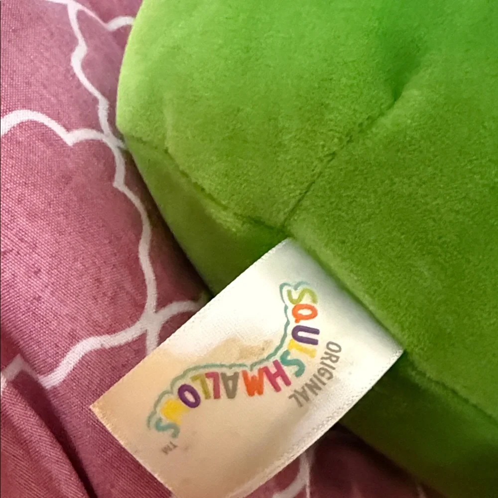 Squishmallows Pink and Green Plush Bird Toy